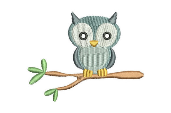 Baby Owl