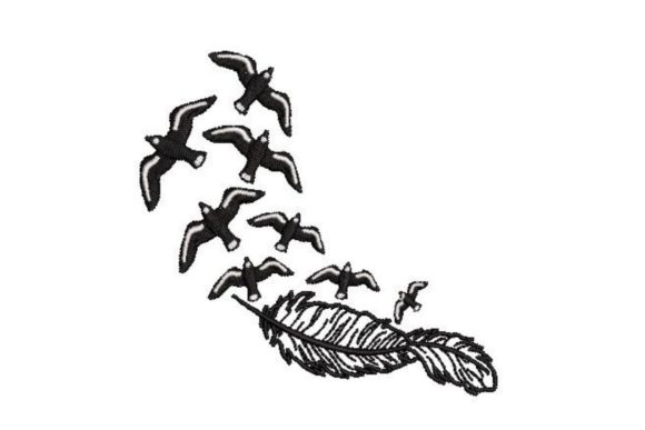 Feather and Birds